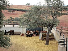 Hacienda la Marquesa