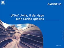 AMADEUS - XVII Congreso UNAV