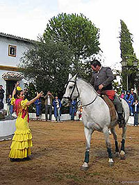 Convención Unav 2006 - Sevilla